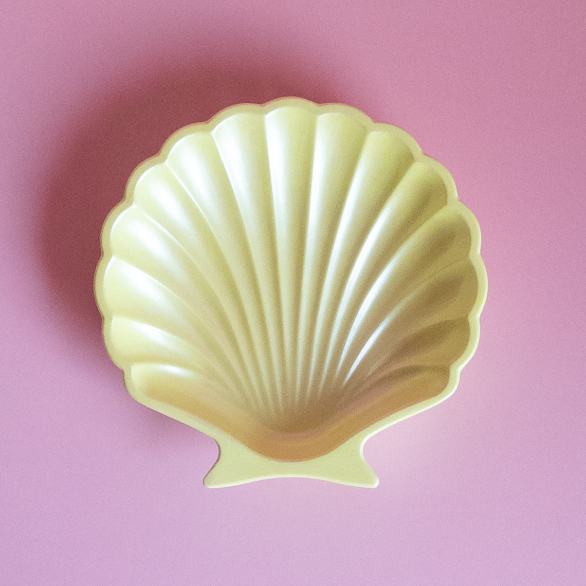 Tray SHELL “Shimmer”