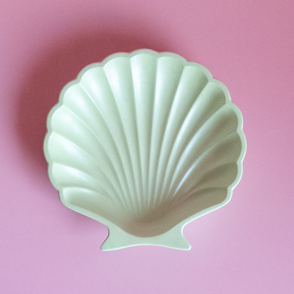 Tray SHELL “Shimmer”