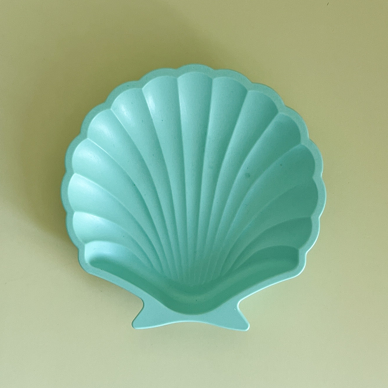 Tray SHELL “Candy”